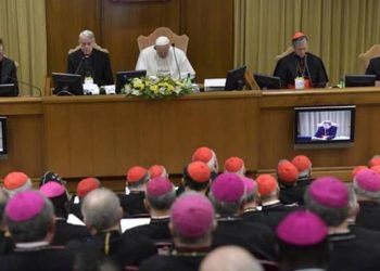 papa francesco summit pedofilia 104952.660x368