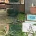 8dbd2796d1d3bf3eeb7aac8fbfa24c876c8a85c6