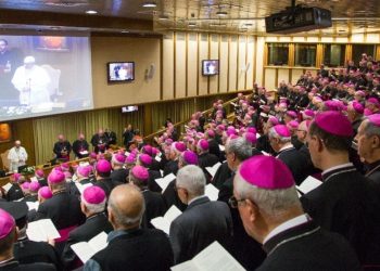 assemblea cei 1050x551 1