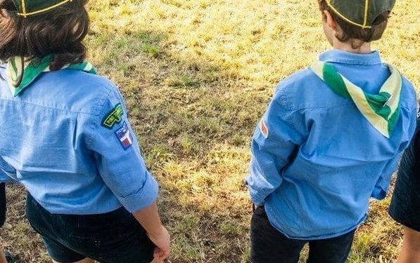 scout